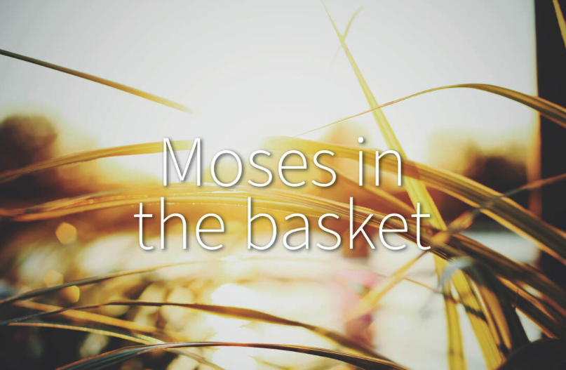 Letter from Pastor John Welton